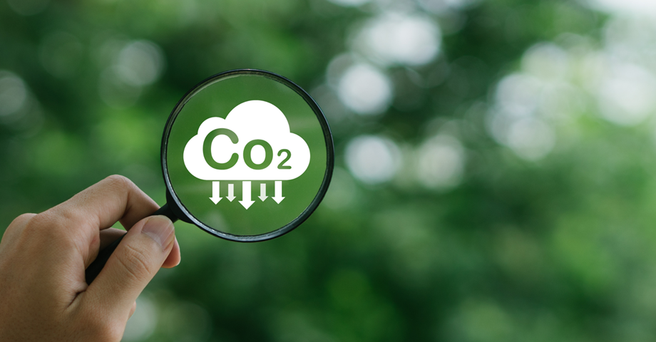 Net Zero