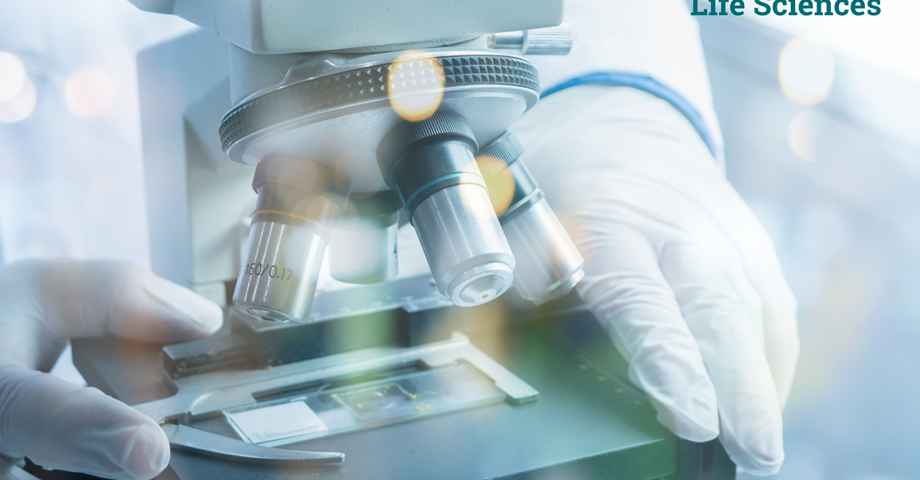 Life Sciences