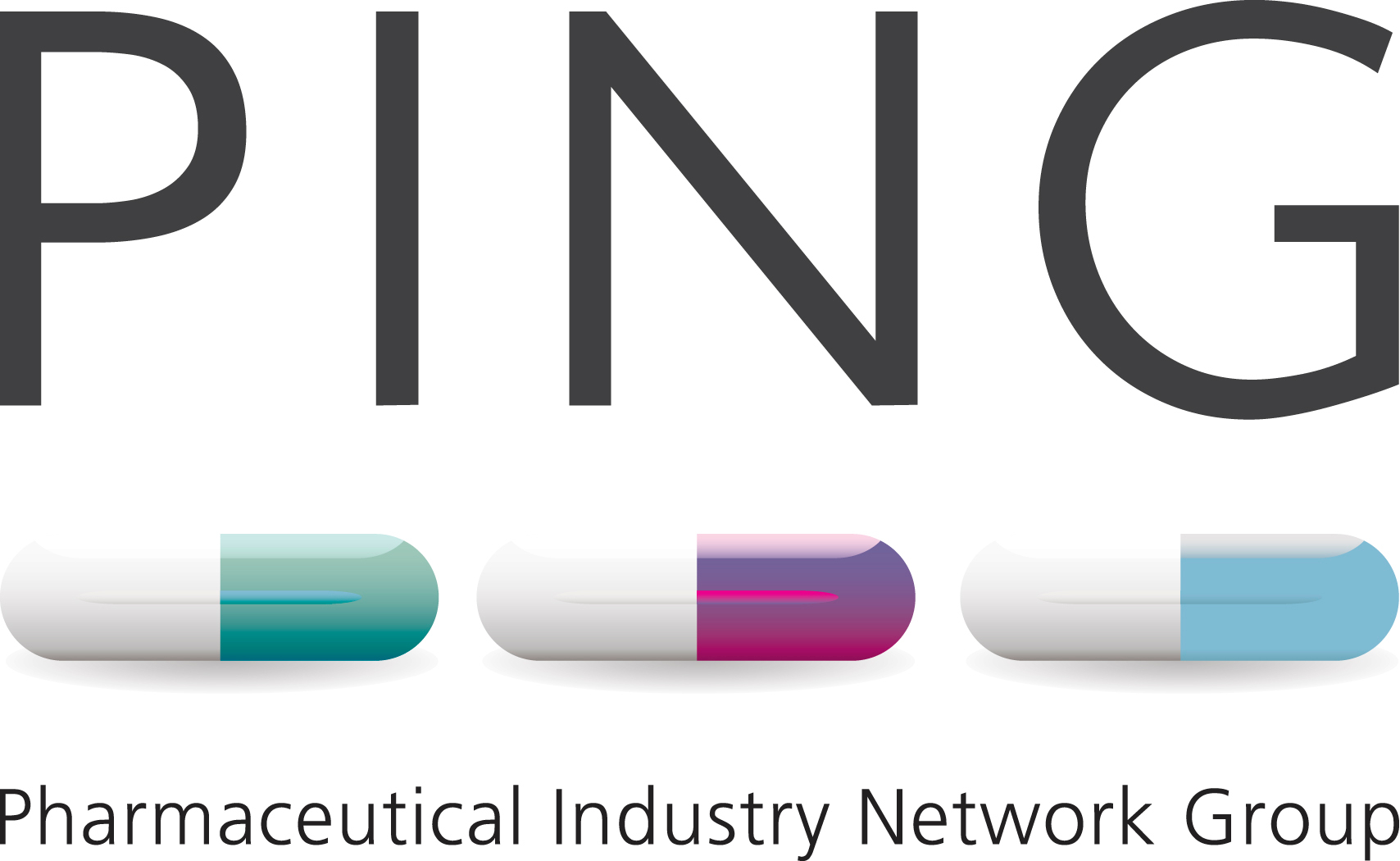 PING Logo Print