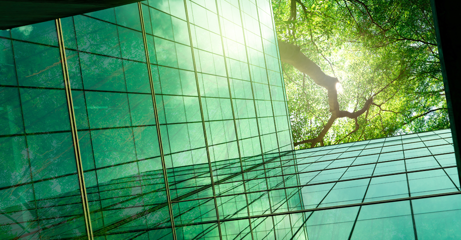 Green Economy