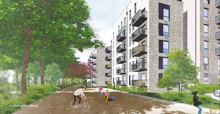 Watford Riverwell - woodlands