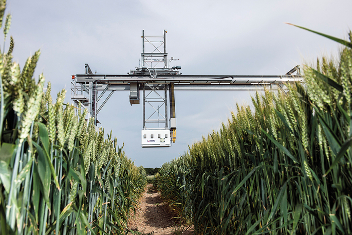Rothamsted Research Field Scanalyzer