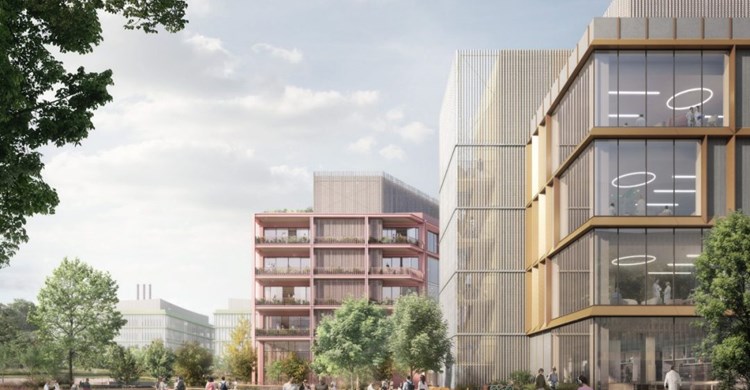 Elevate Quarter (image: Hawkins Brown)