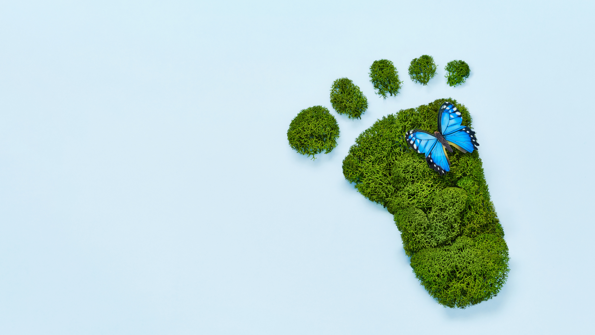 Environmental Footprint