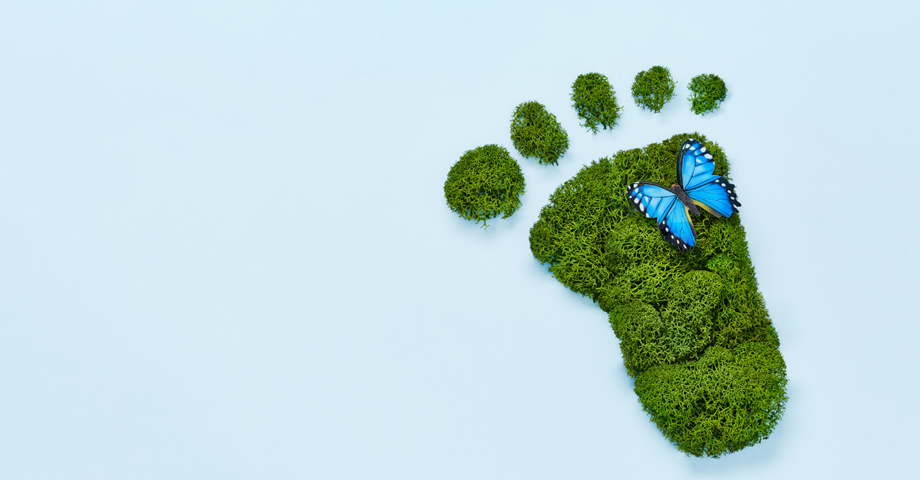 Environmental Footprint