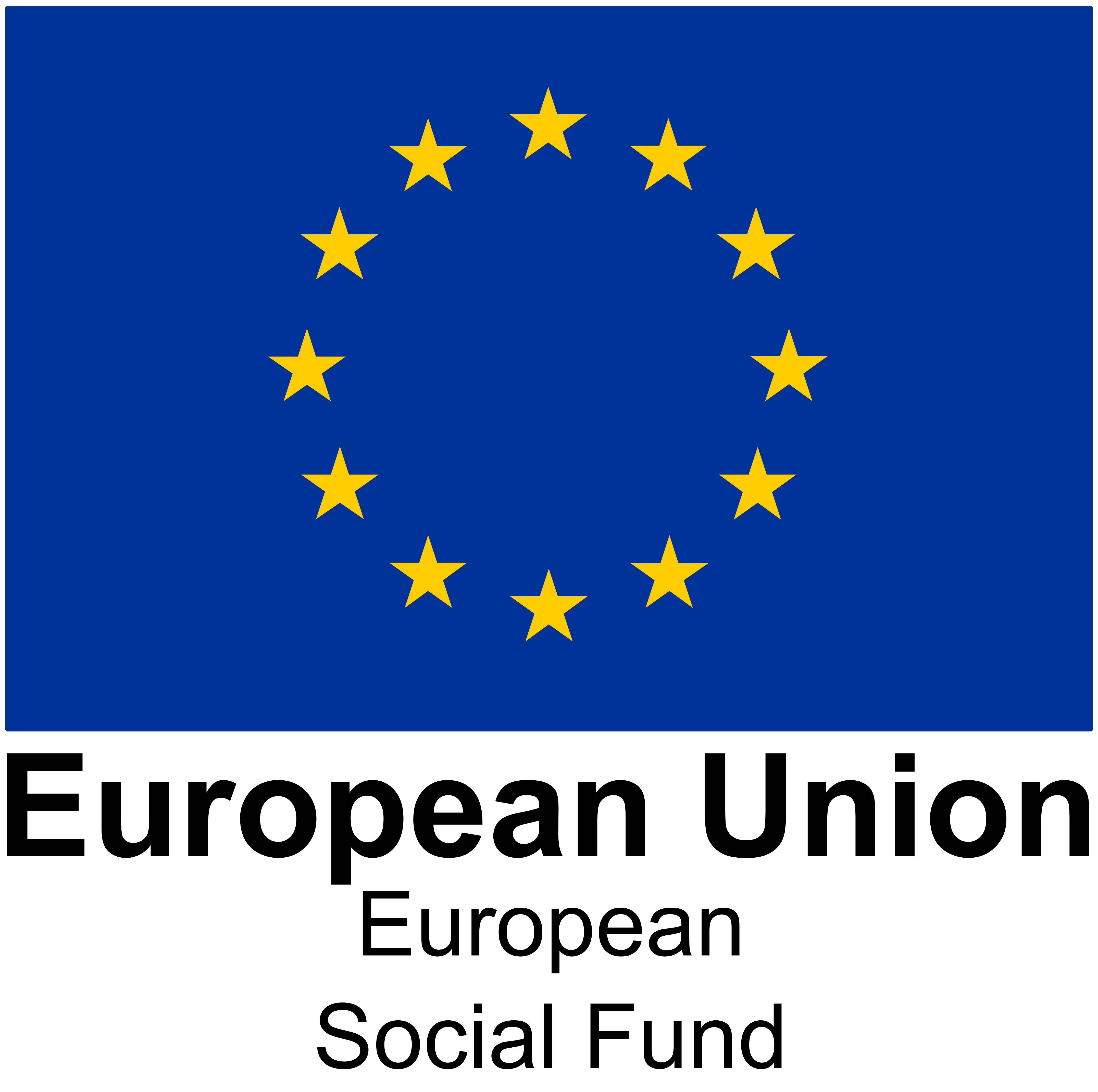 European social fund