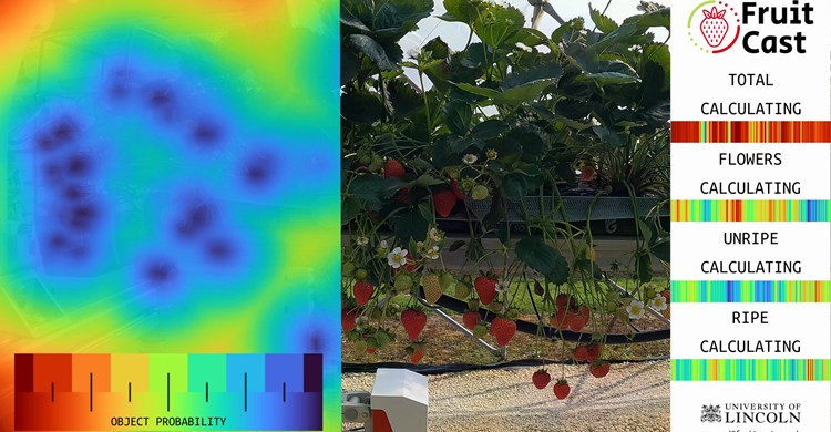 FruitCastTechScanner
